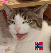 cat herder's picture