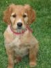 Cali-Lefty's picture
