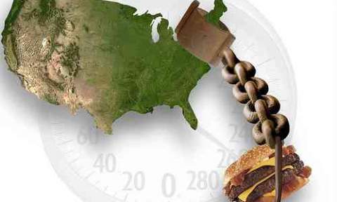 article image Article image