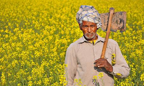 Indian Farmers Trapped and Desperate