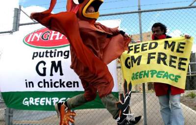 British Supermarkets, GMO Soya and Birth Defects