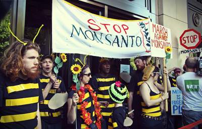 Buzz Off, Monsanto 