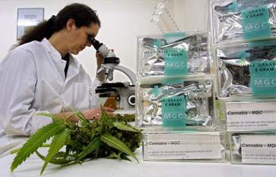 Cannabis Provides Dramatic Benefit for Chronic Diseases in Recent Study