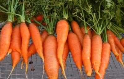 Carrots, Beta-Carotene Found to Reduce Heart Attack Risk, Boost Heart Health