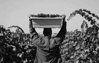 From Field to Table: Rights for Workers in the Food Supply Chain