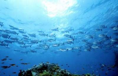 The (Less Than) Eternal Sea 