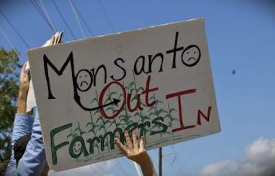 Appeals Court Makes Monsanto Promise Not to Sue Organic Farmers