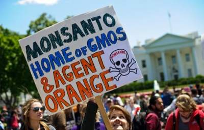 Court of Appeals Sides with Monsanto Over Organic Farmers