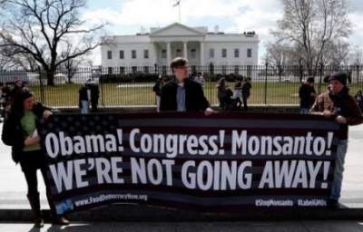 Genetically Modified Democracy: Monsanto and Congress Move to Stomp on States’ Rights