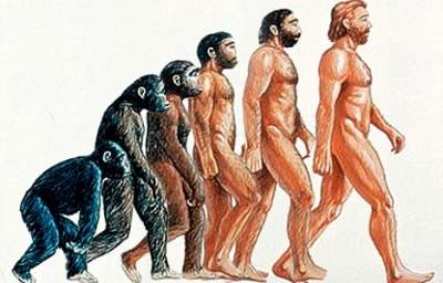 Survival of the ... Nicest? Check Out the Other Theory of Evolution