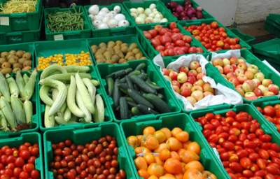 Are GMO Crops Producing Health- Compromising, Fake Hormones in Your Body? Are GMO Crops Producing Health- Compromising, Fake Hormones in Your Body?