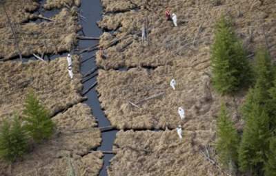 ‘Every Plant and Tree Died:’ Huge Alberta Pipeline Spill Raises Safety Questions as Keystone Decision Looms