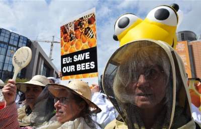 U.S. Approves Bee Death Pesticide as E.U. Bans It 