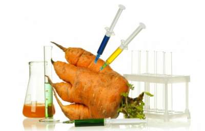 USDA Needs More Time to “Review” Monsanto and GMO Crops? USDA Needs More Time to “Review” Monsanto and GMO Crops?