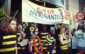 Buzz Off, Monsanto 