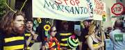 Buzz Off, Monsanto Buzz Off, Monsanto