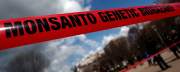 March Against Monsanto is the Beginning of the End for Monsanto March Against Monsanto is the Beginning of the End for Monsanto