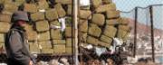 The People Provide Obama a Path to Escape the Quagmire of the Marijuana War