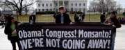 Genetically Modified Democracy: Monsanto and Congress Move to Stomp on States’ Rights