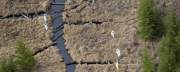 ‘Every Plant and Tree Died:’ Huge Alberta Pipeline Spill Raises Safety Questions as Keystone Decision Looms ‘Every Plant and Tree Died:’ Huge Alberta Pipeline Spill Raises Safety Questions as Keystone Decision Looms