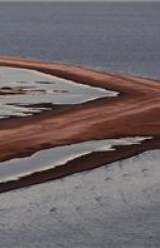 Texas to Take BP and Halliburton to Court