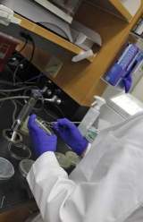 University’s Laboratory Shrinking Due to Government Funding Cuts