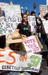 Maine Passes GMO Labeling Law