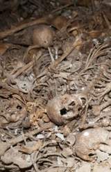 Palestinian Victims From War of 1948 Found in Mass Grave