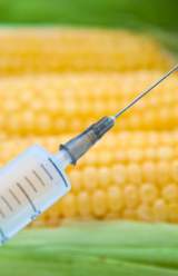 Monsanto Protection Act Proposed to be Appealed by Oregon Senator